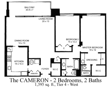 The Cameron