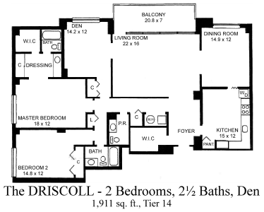 The Driscoll